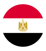 UAE Flag