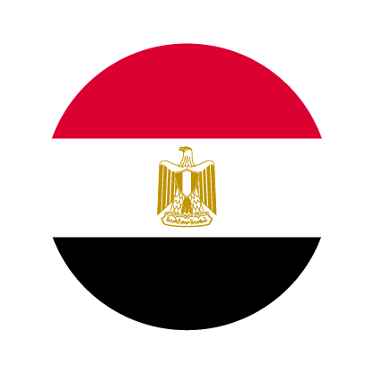 UAE Flag